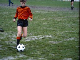 0DIA 1985 RAVA PUPS 1